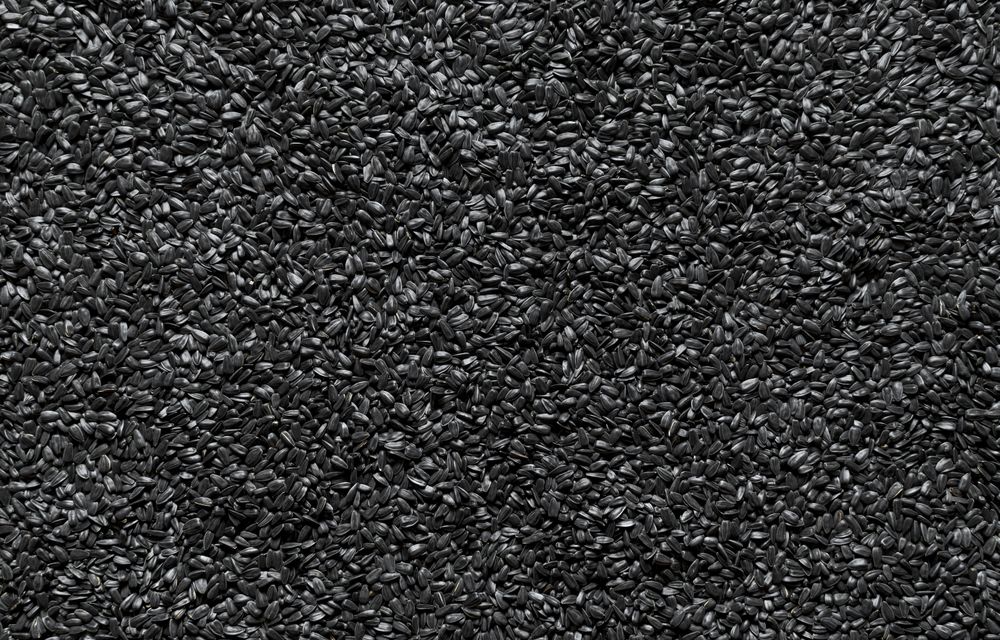 Sunflower seeds background, above view