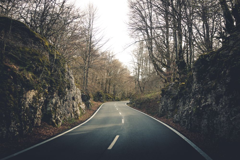 Empty road leading through leafless forest