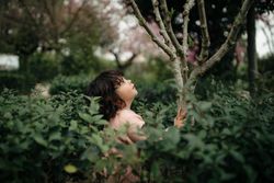 Side view of little girl looking up at a tree