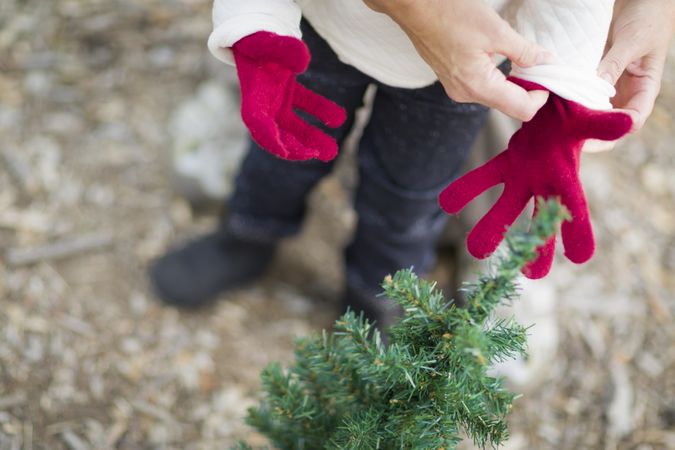Mother Putting Red Mittens On Child