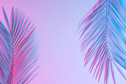 Tropical palm leaves in vibrant gradient holographic colors