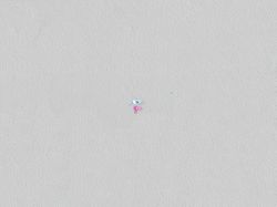 Top down view of friends relaxing on the beach.