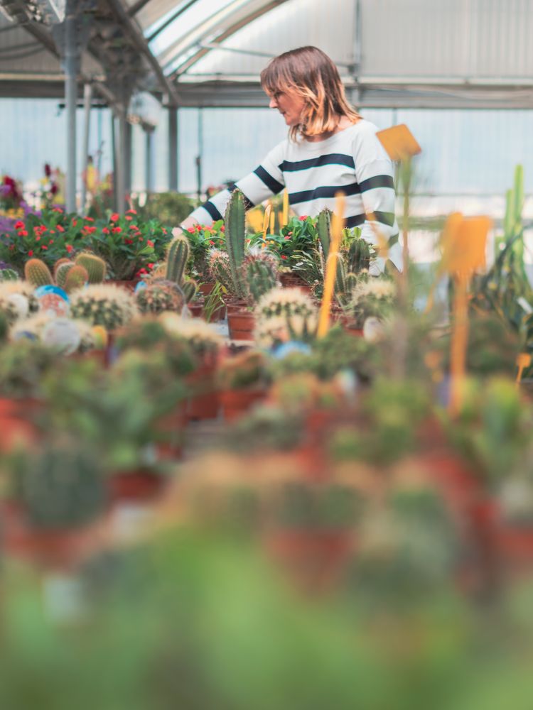 Female customer choosing flowers in greenhouse