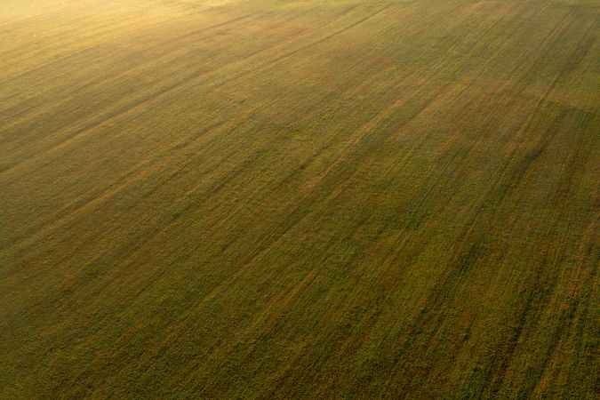 Drone aerial view at golden hour with agricultural fields