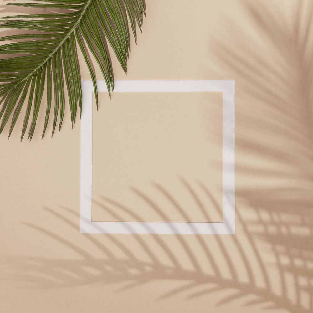 Top view of green tropical leaves and shadows on sand color background with square outline
