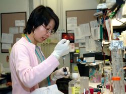Frederick, MD - USA, July 2006: An Asian female scientist from the National Cancer Institute 4AlwY5