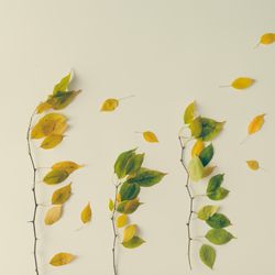 Bright autumn leaves arranged in scene on light  background