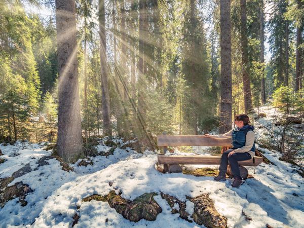 Woman sitting on bench and looking at sun rays passing through trees
