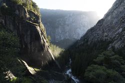 Scenic canyon covered with forest in sunshine