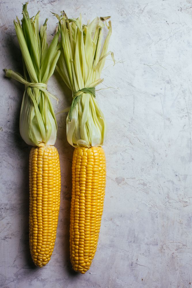 Phases of fresh corn peeling
