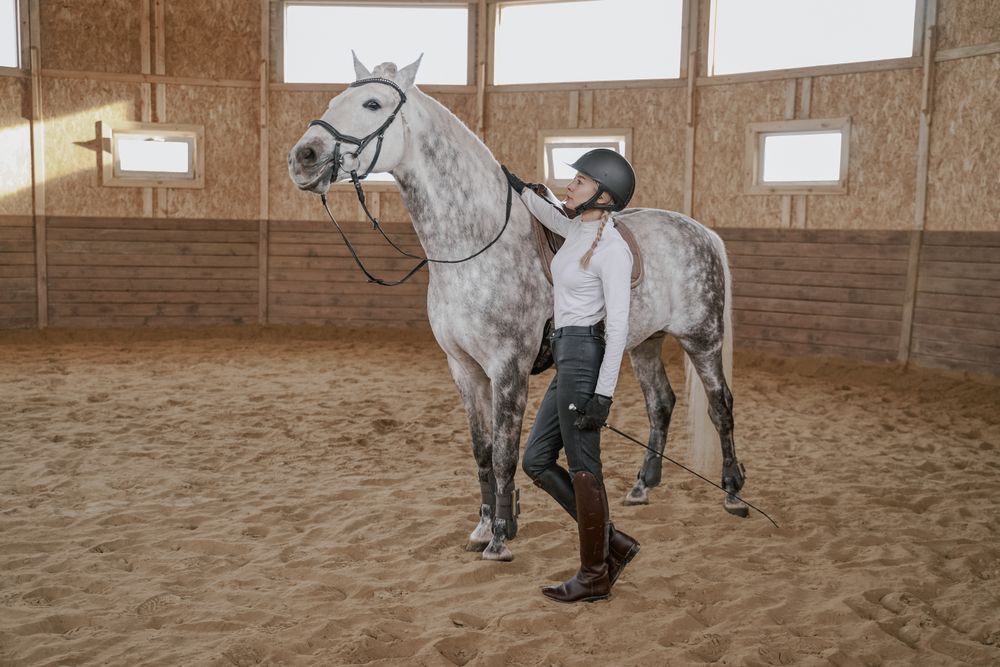 Rider with dapple gray horse in round arena