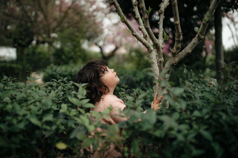 Side view of little girl looking up at a tree