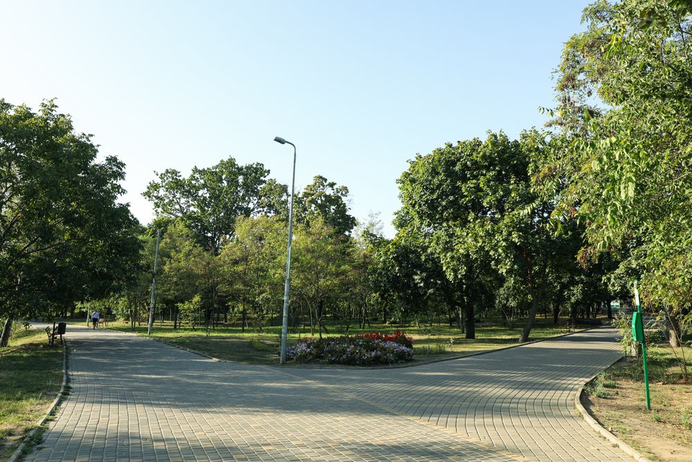 Beautiful city park in bright sunny morning