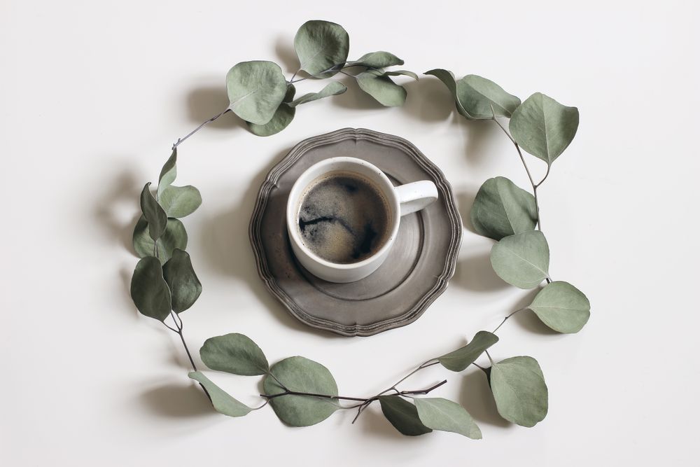 Dry eucalyptus tree leaves circling a cup of coffee