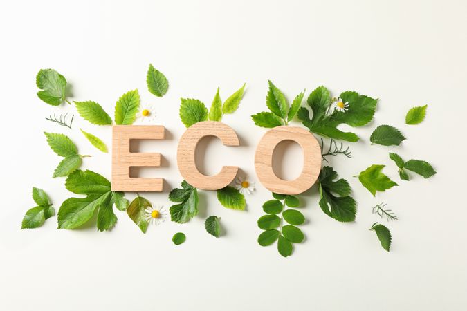 Inscription eco and greenery on light background, space for text. Environmental protection. Agriculture