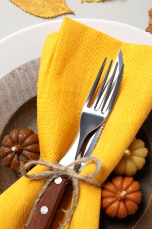 Concept of Thanksgiving day, Autumn table setting, close up