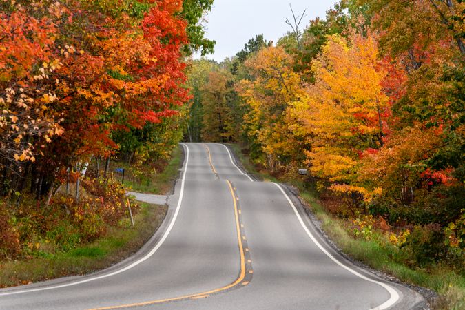 Autumn colors along Minnesota State Highway 38 in Itasca County, MN