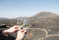 Crop hands clinking glasses in countryside