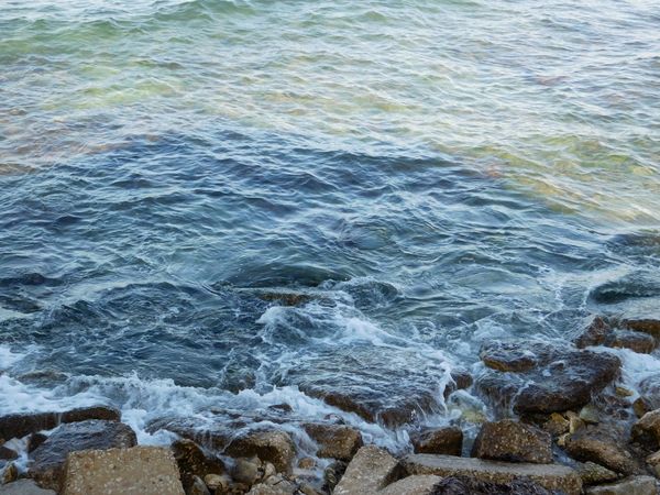 sea