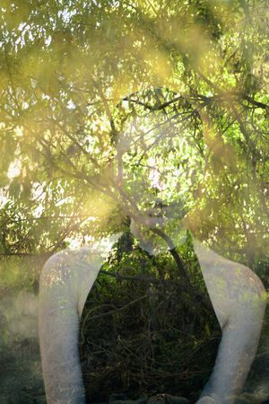 Double exposure shot of woman in nature with face replaced by trees