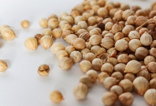 Coriander spices