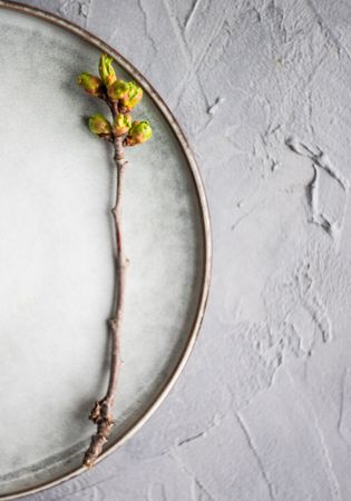 Spring table setting in rustic style decorated with single cherry bloom tree branches