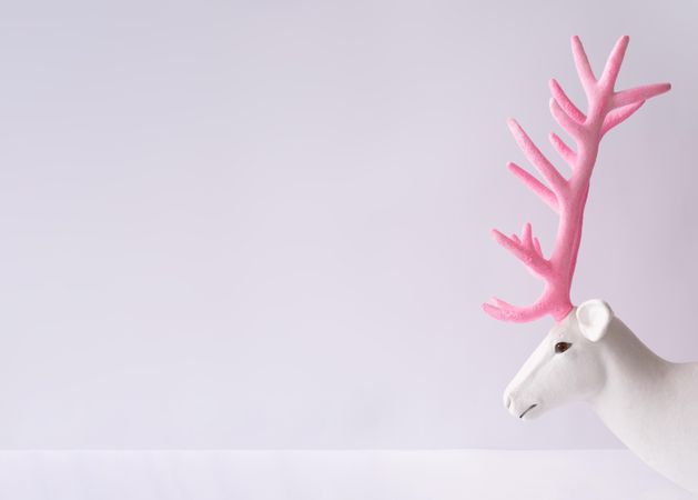 Reindeer with pink antlers
