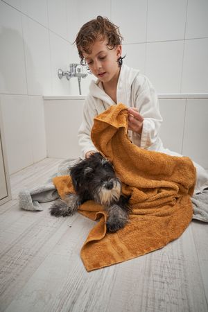 Gentle boy wiping dog with towel in bathroom