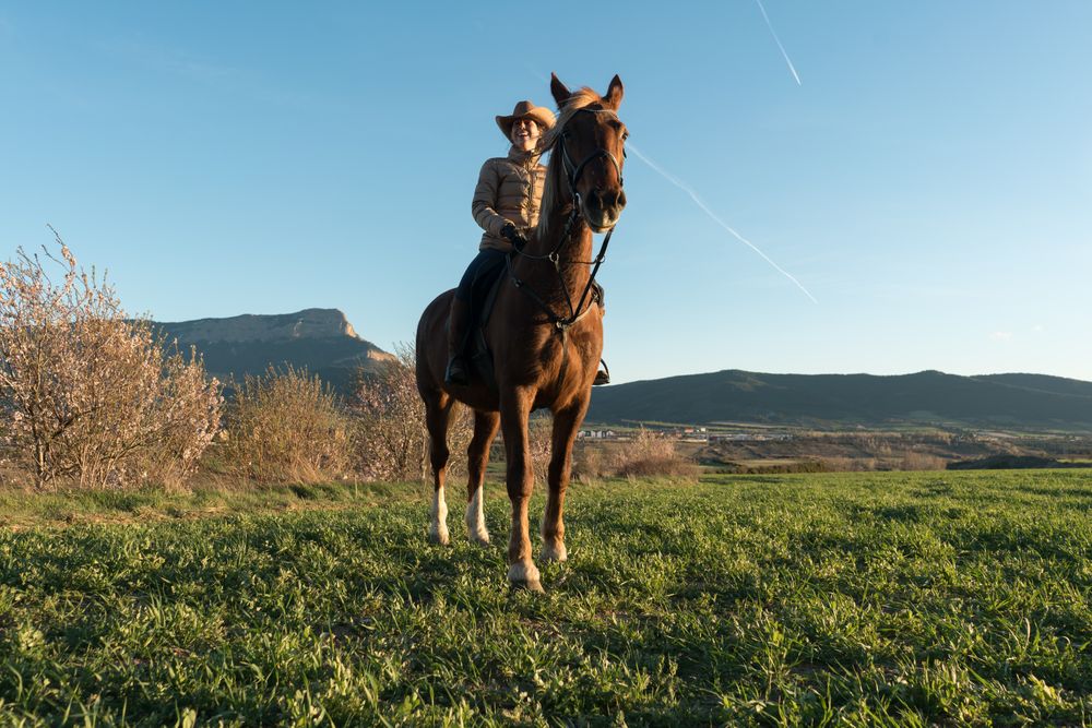 Woman on horse in field
