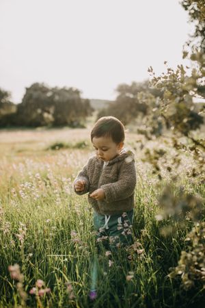 Young boy playing with flowers in a field