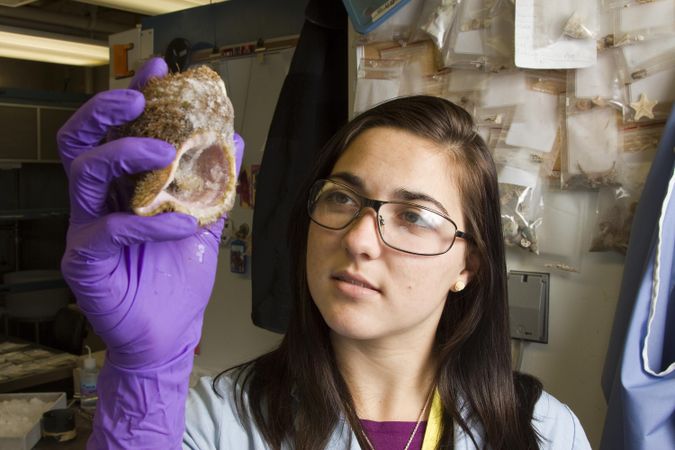 Fort Detrick, MD - USA, Feb 2011: Female brunette scientist holding up a shell