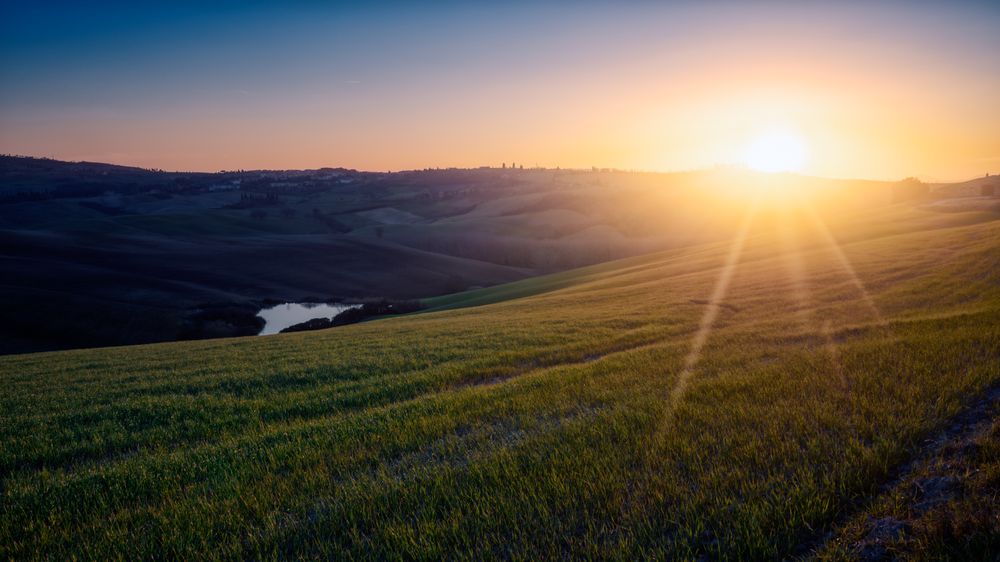 Wonderful empty green fields