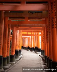 Interior perspective of Fushimi Inari-Taisha in Japan 489OKb
