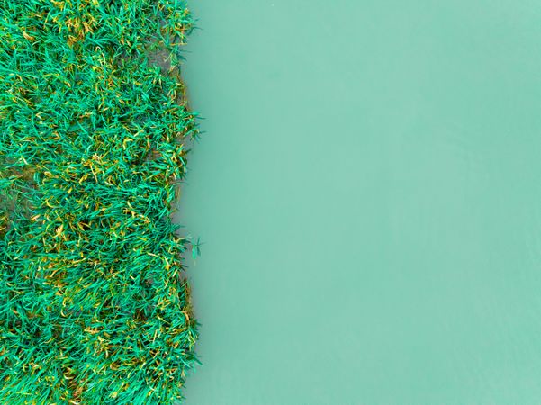 Earth Day background.