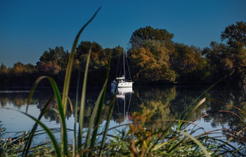 Boat on a river pictured from long grass