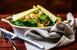Chicken and cheese salad