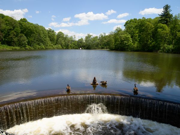 Pond spillway at Forest Park in Springfield, Massachusetts