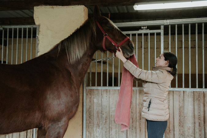 Woman putting saddle on horse