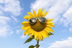 Happy summer concept