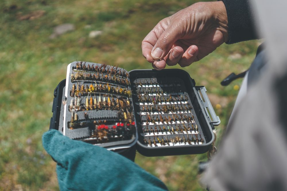 Fisherman demonstrating collection of baiting in box