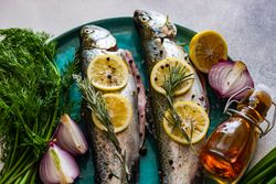 Trout fish ready for cooking