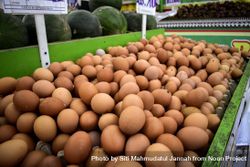 Eggs for sale in market 426M97