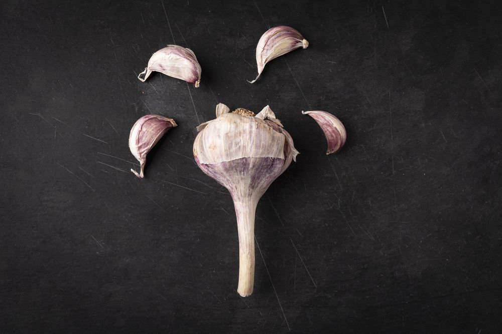 Garlic cloves and bulb on dark background with copy space
