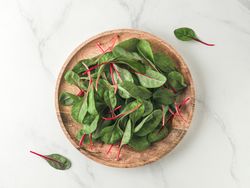 Fresh salad of green chard leaves or mangold