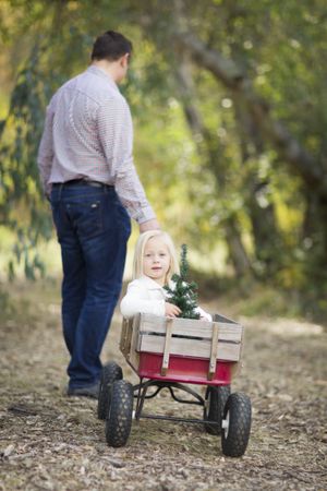 Father Pulls Baby Girl in Wagon with Christmas Tree