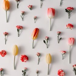 Colorful flowers pattern on light  background