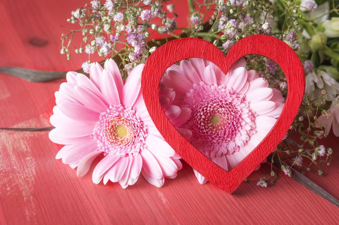 Pink flowers and red heart on red wooden table for Valentine’s Day