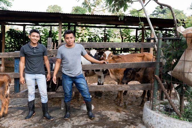 Two Hispanic Men are posing with their cows in an outdoor farm
