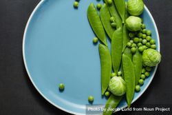 Green peas and brussels sprouts on a blue plate placed on dark background bezXA0