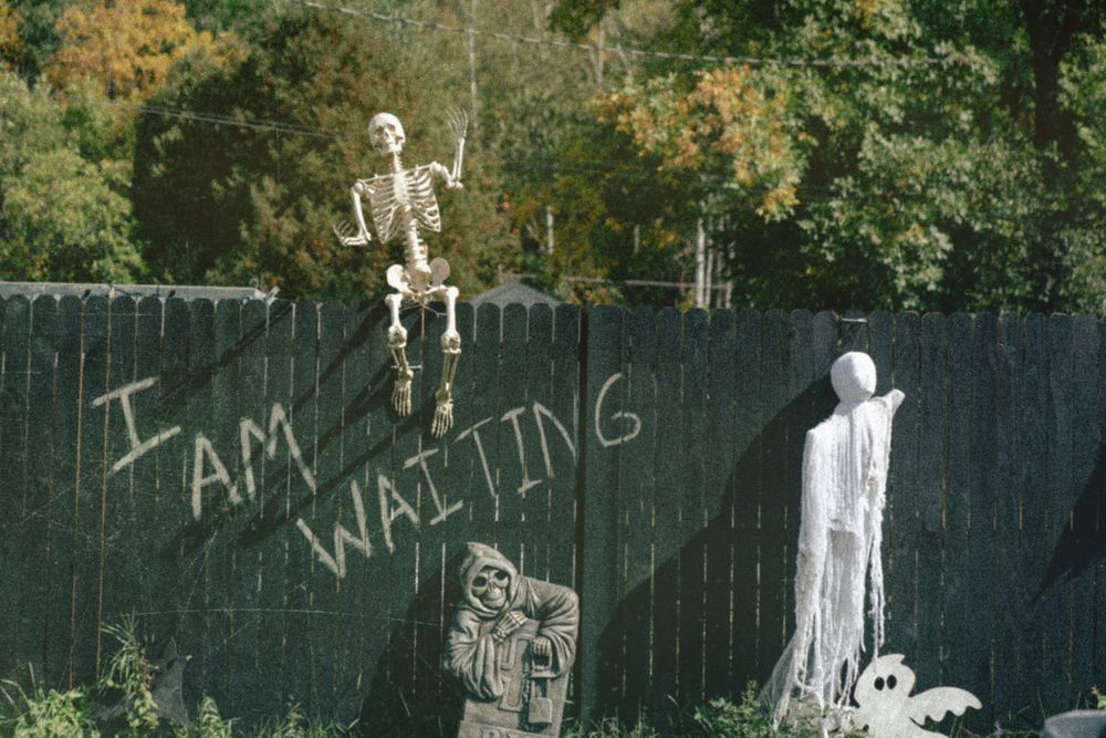 Skeleton on fence for halloween decor